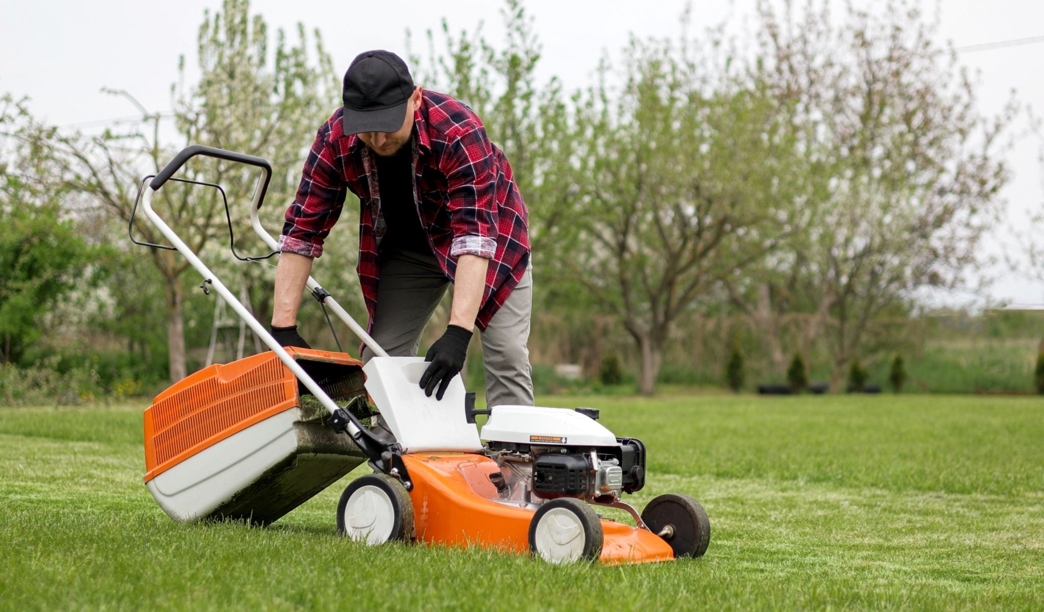 How to Overseed Your Lawn for Thicker, Healthier Grass