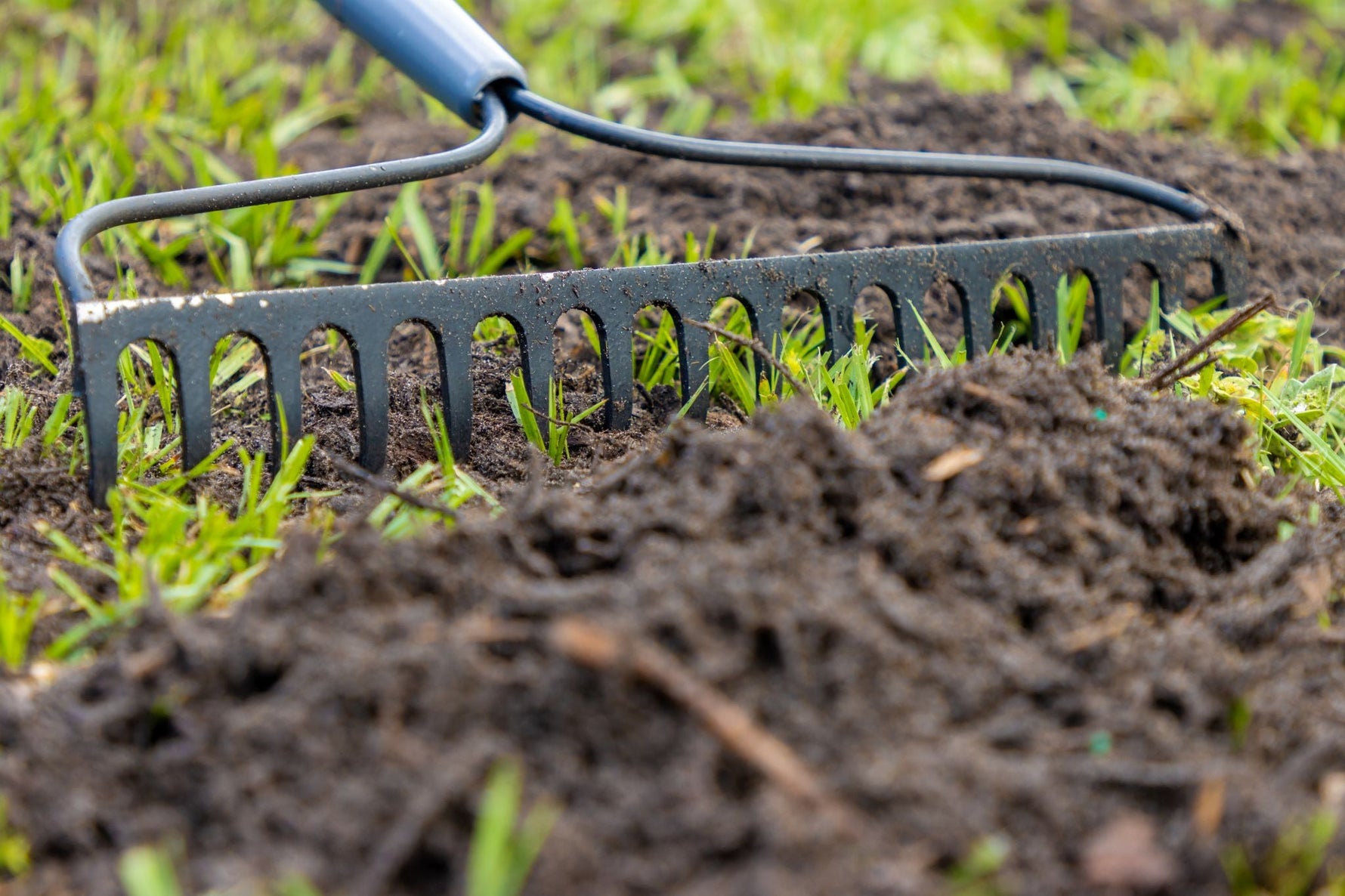 How to Prepare Your Soil Before Seeding