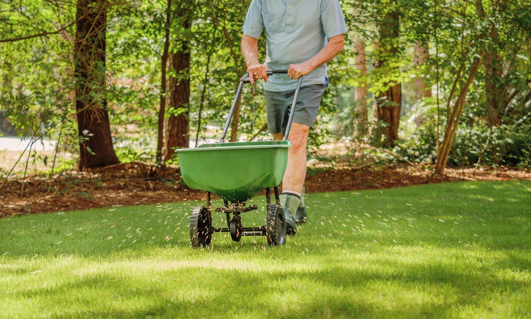 When Is the Best Time to Plant Grass Seed in the Midwest?