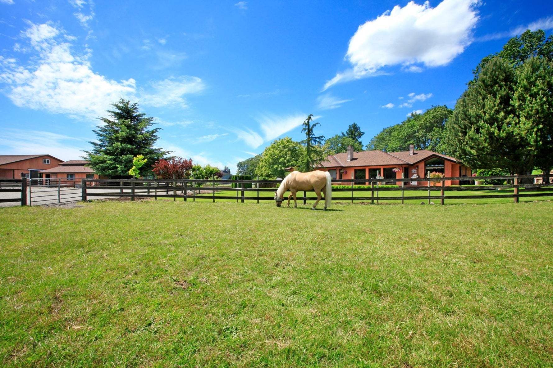 Turf Seed vs. Pasture Seed: What's the Difference and Why Does It Matter?