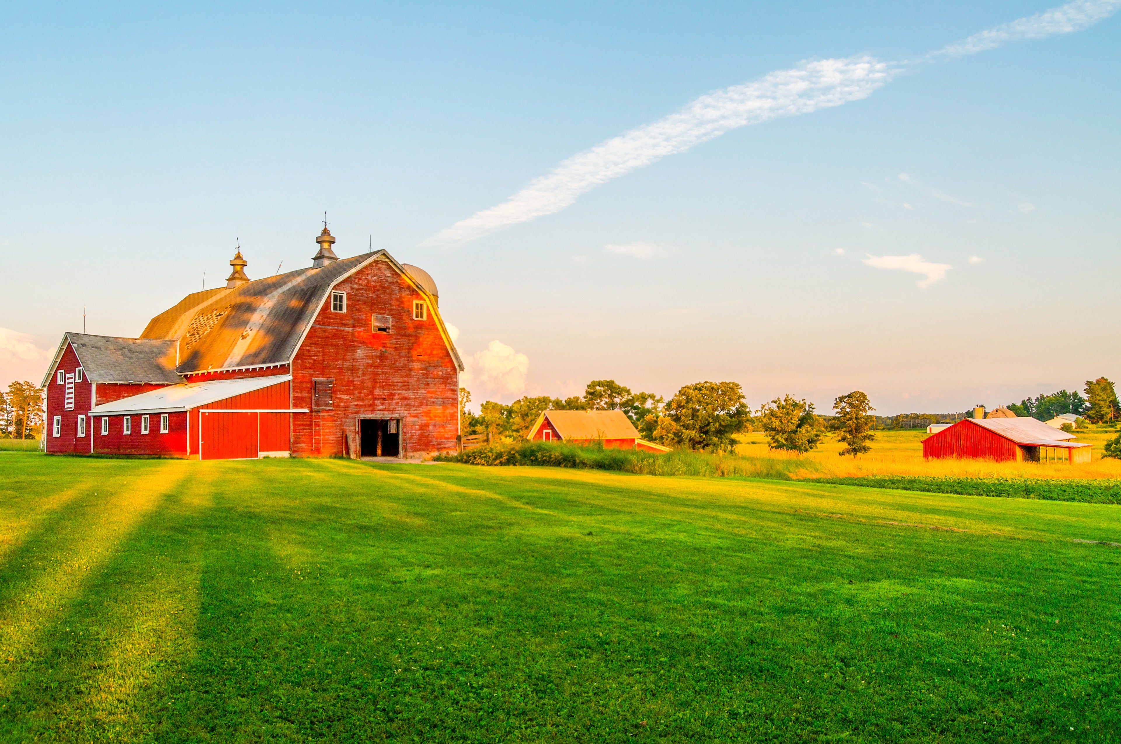 Farm Pro