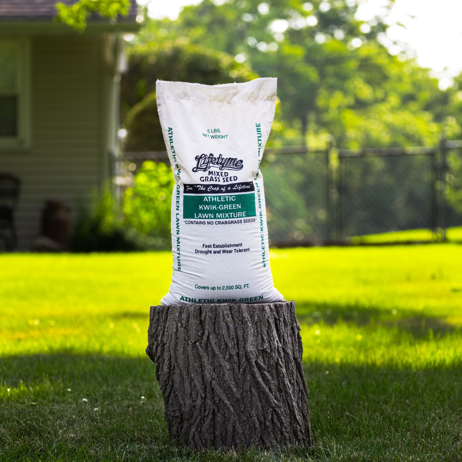 Lifetyme Athletic Kwik-Green Mixed Grass Seed