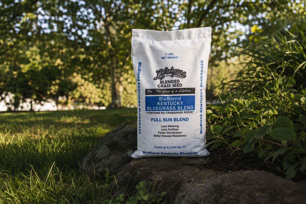 Lifetyme BluBlend Kentucky BlueGrass Blend