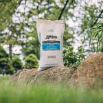 Lifetyme Fancy Kentucky Bluegrass seed bag on rock, a fine-bladed dark emerald single-variety grass seed for near golf-course quality lawns