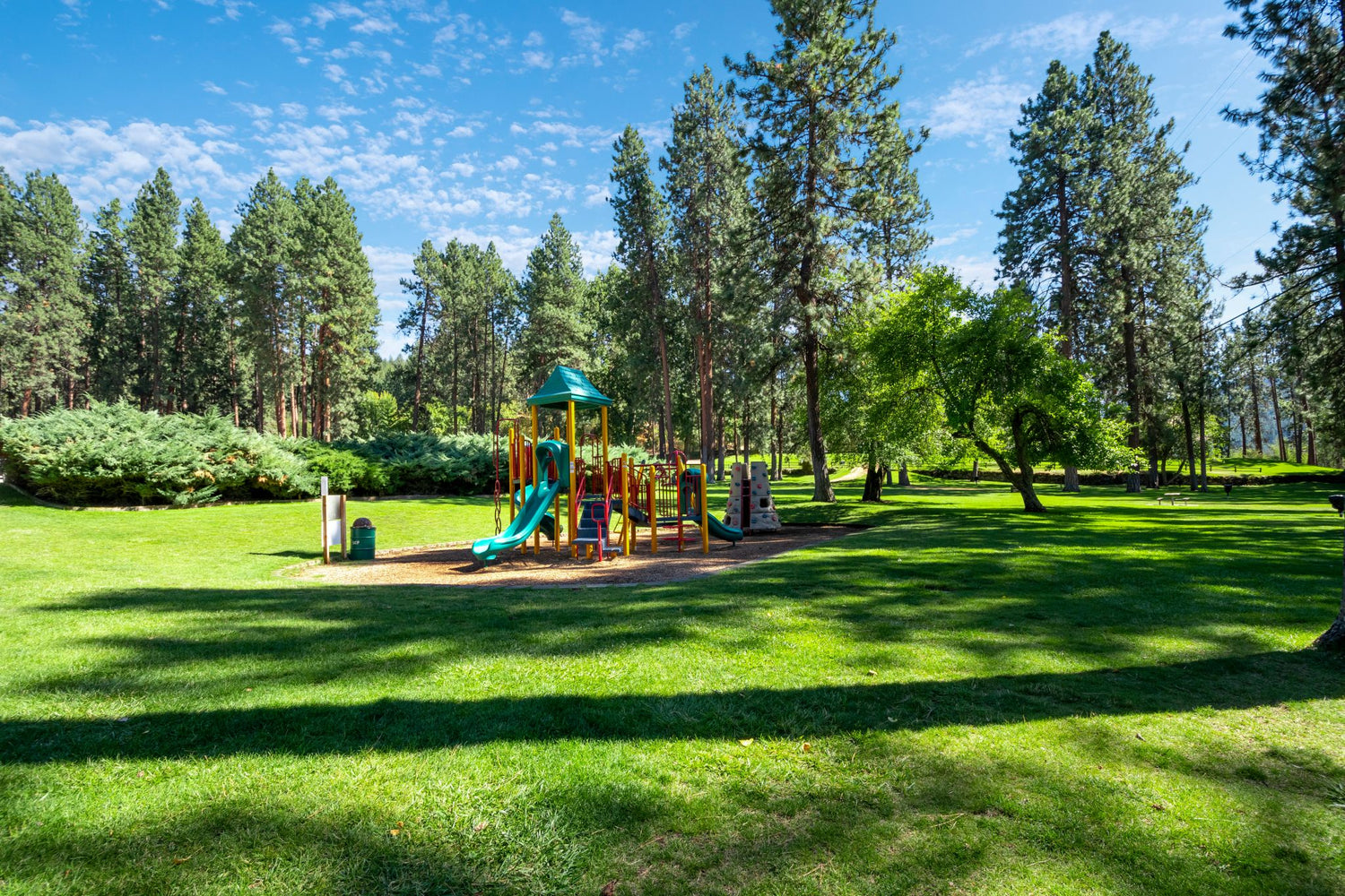 Green park lawn with playground area, showcasing Lifetyme Pro Turf Goldstar Tall Fescue blend for high-traffic parks and school grounds