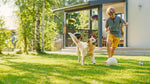 Child and dog playing on a lush backyard lawn grown with Lifetyme Pro Turf Sun and Shade Mixture, built for high-traffic residential use