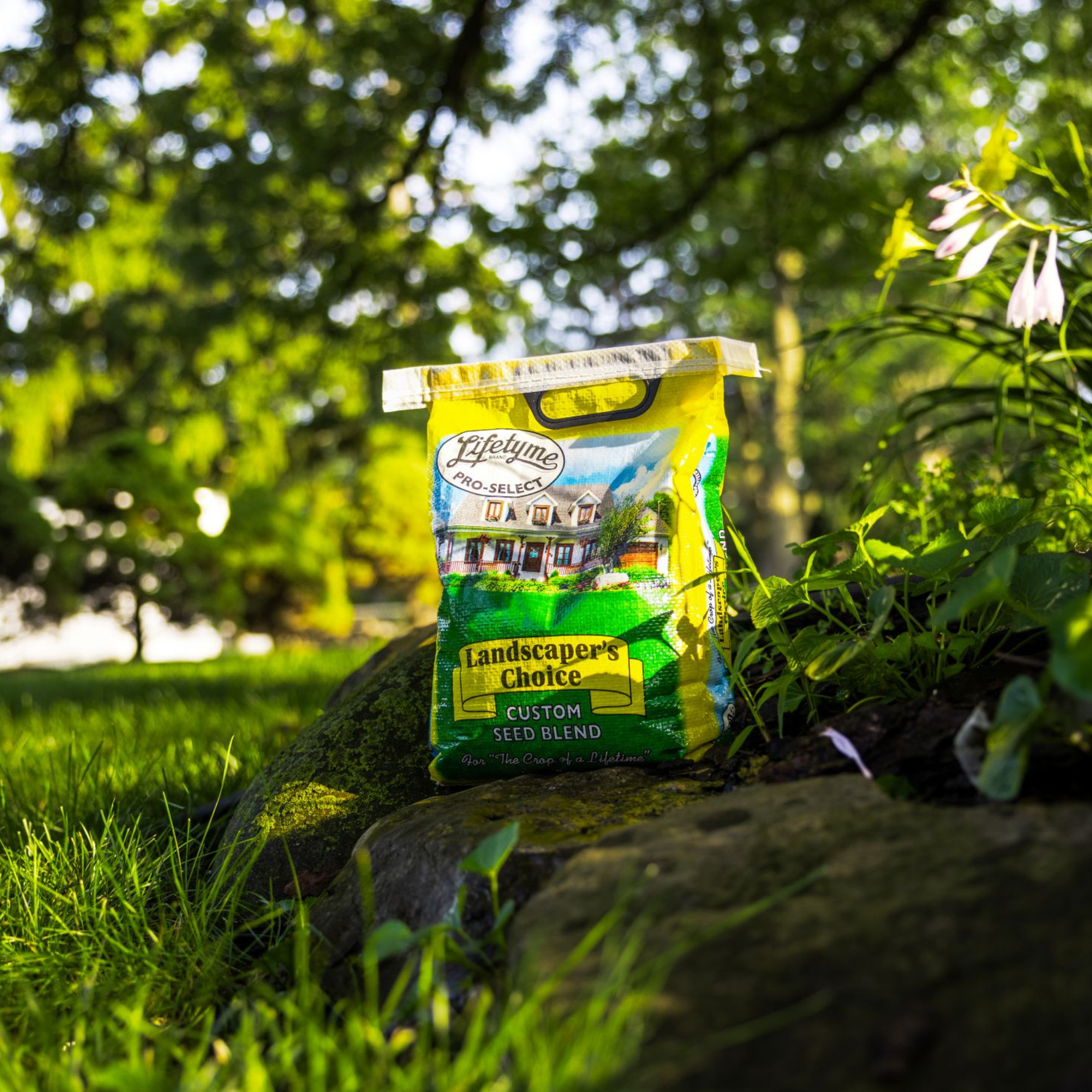 Lifetyme Pro Select Landscaper's Choice Custom Seed Blend bag, a Kentucky Bluegrass, Fescue, and Ryegrass mix for budget-conscious lawn projects