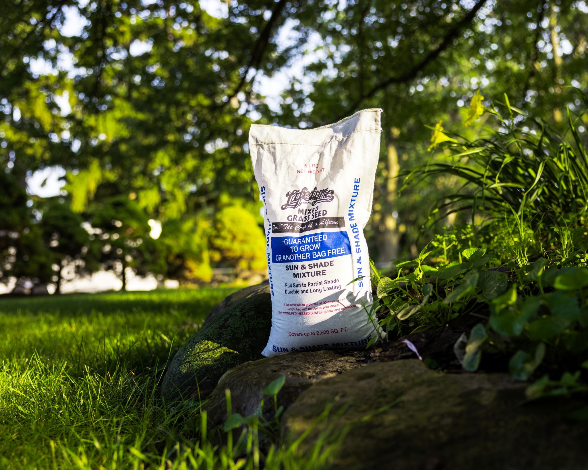 low sun grass seed Sun & Shade Grass Seed - Guaranteed to Grow