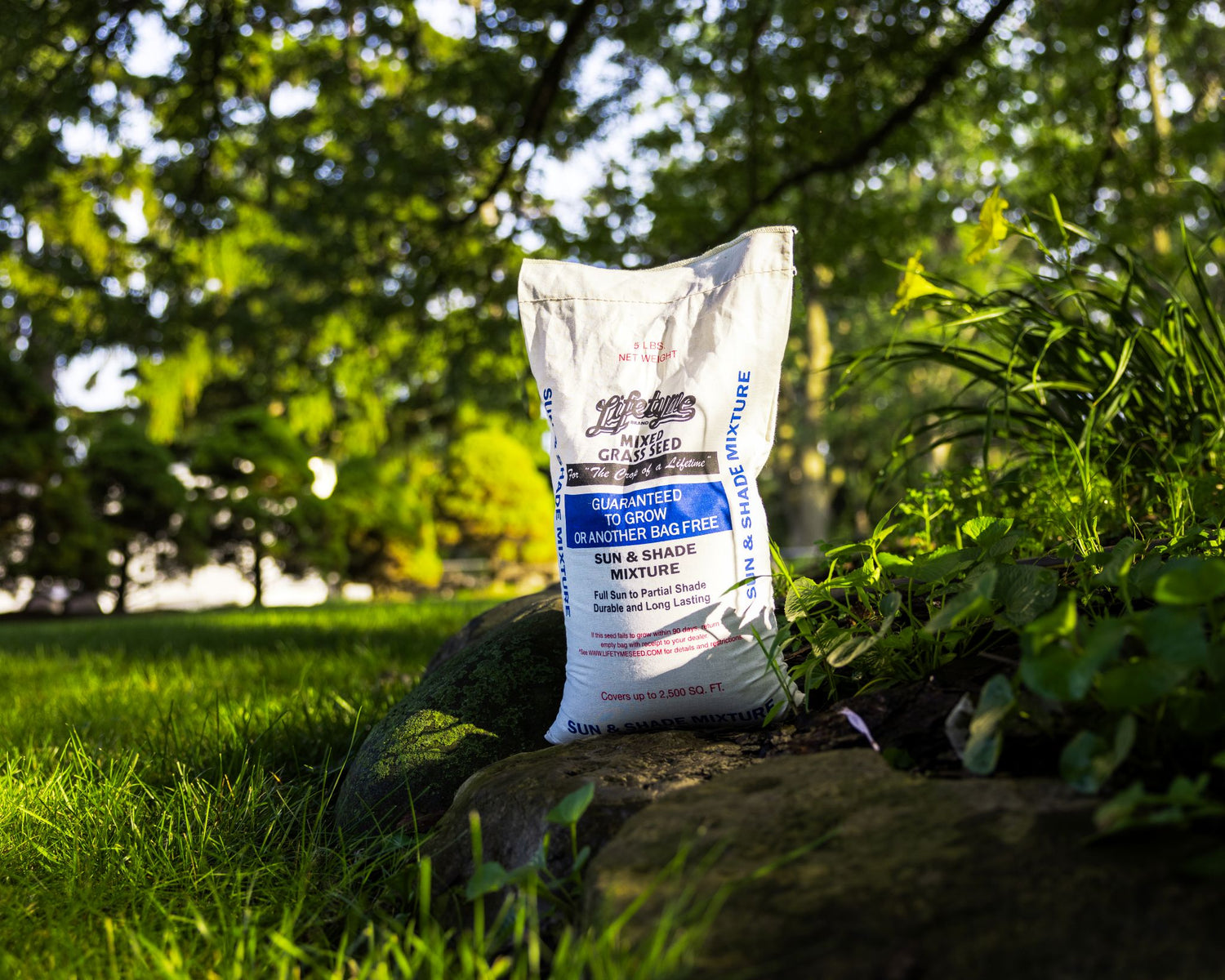 Lifetyme Sun & Shade Mixed Grass Seed