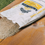 Lifetyme Sunny Lawn Mixture grass seed spilling from bag, engineered for full sun yards with fast germination and vibrant color all season