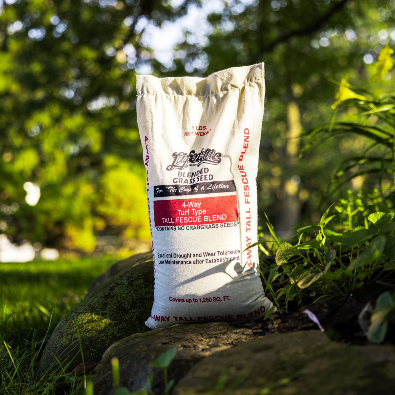Lifetyme 4-Way Tall Fescue Blend