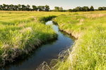 Grassy waterway and stream bank, showcasing the ideal results of Lifetyme Farm Pro Waterway Mixture for erosion control and slope stabilization