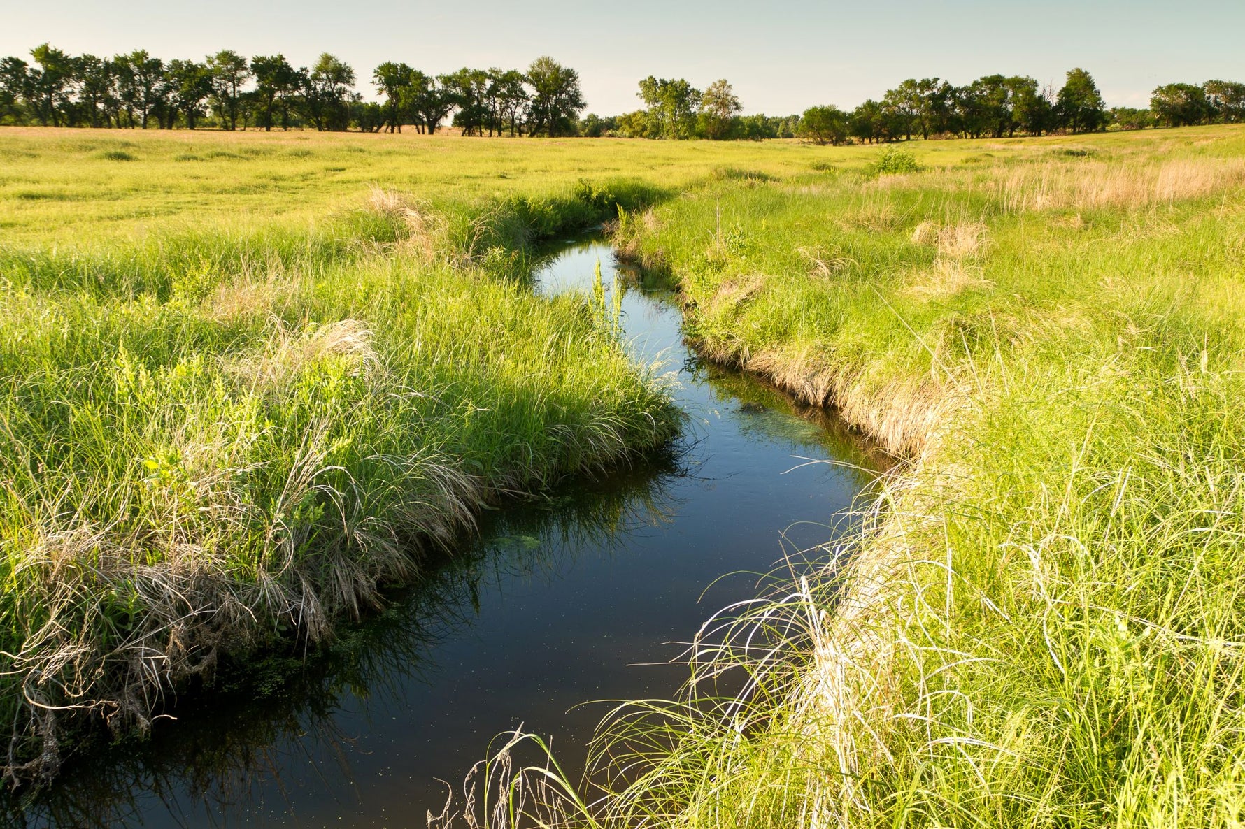 Grassy waterway and stream bank, showcasing the ideal results of Lifetyme Farm Pro Waterway Mixture for erosion control and slope stabilization